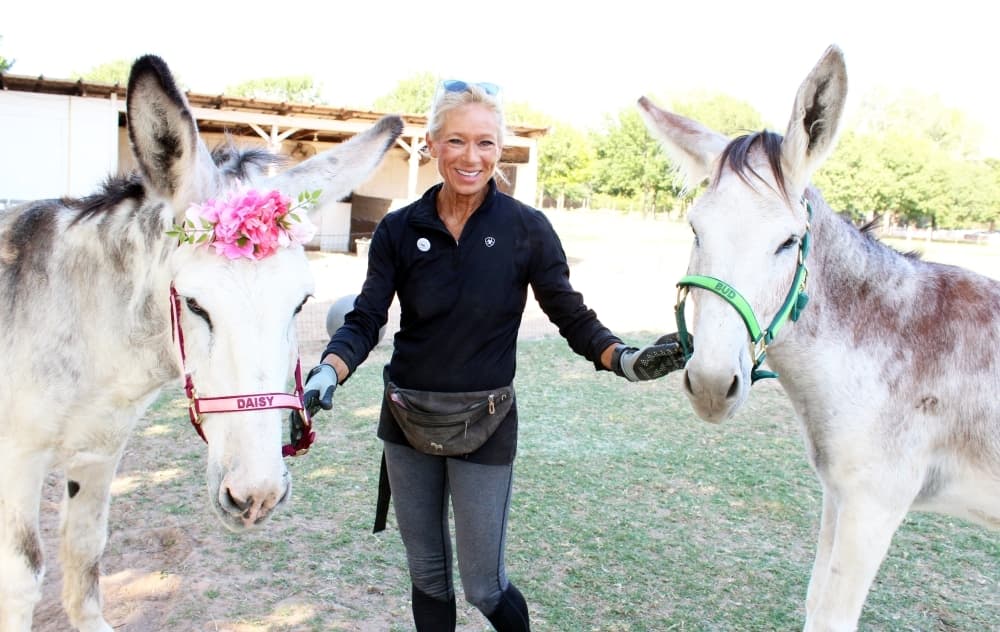Loving Long Ears Donkey Therapy & Sanctuary.