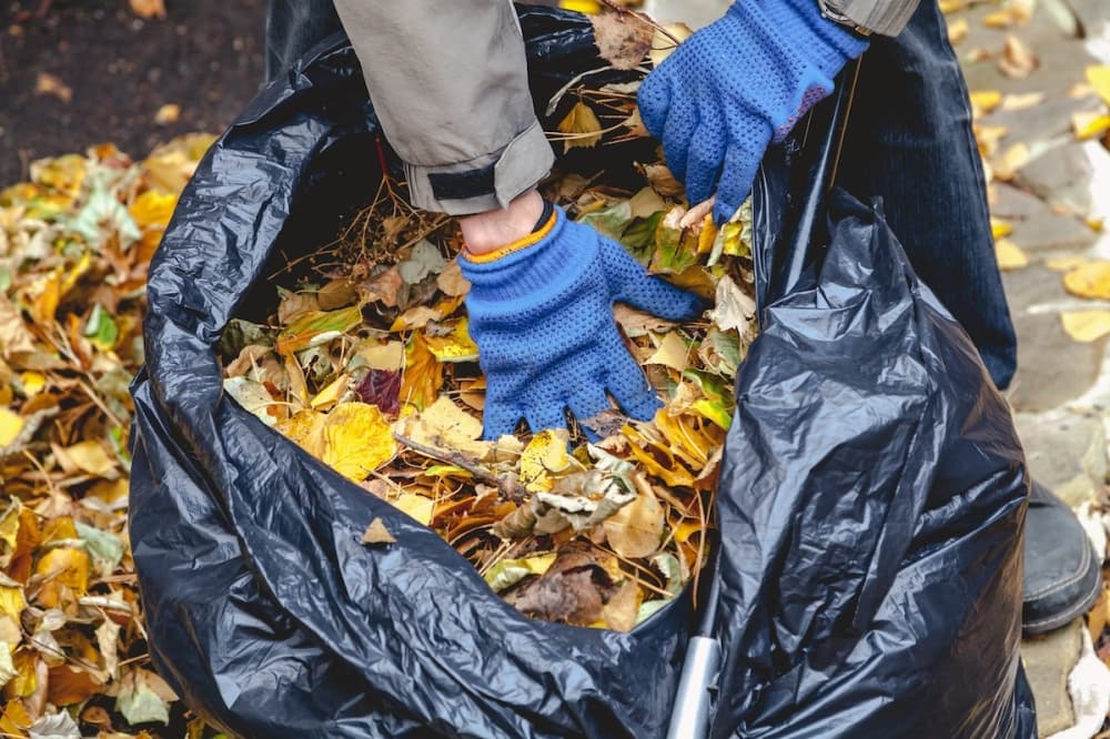 Colleyville leaf recycling program begins soon for residents