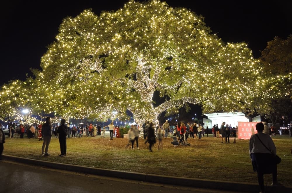 11 events to ring in the holiday season in Cedar Park, Leander; plus area tree lightings