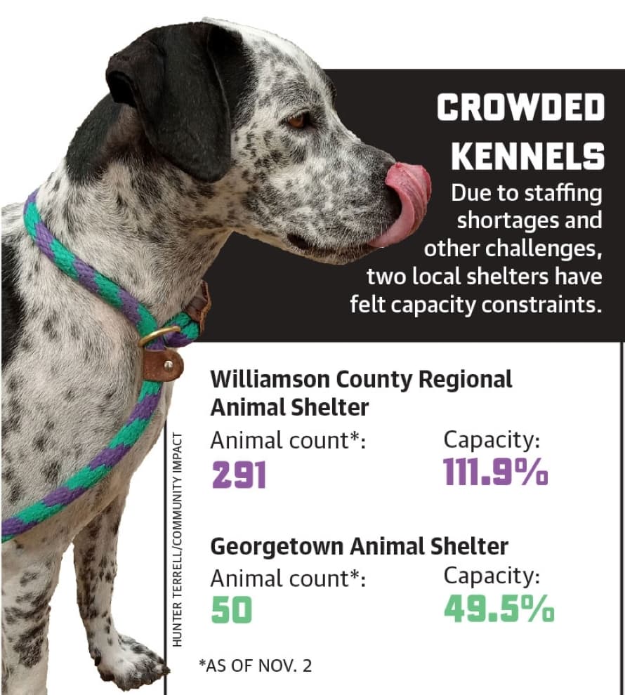 Graphic by Community Impact 