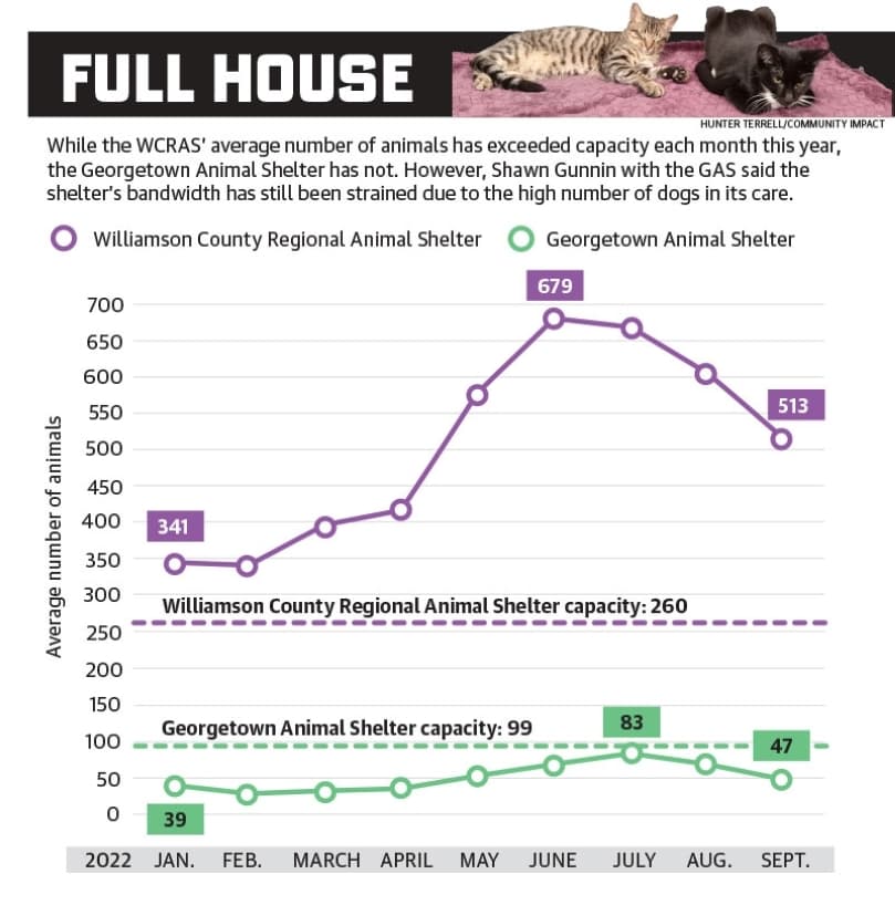 Graphic by Community Impact 