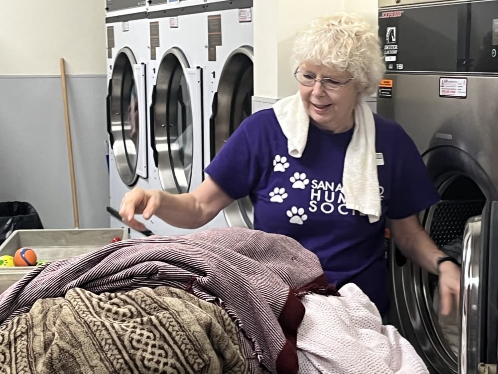 San Antonio resident Diane Workman volunteers at the San Antonio Humane Society three times a week, where she usually spends her time loading an industrial-size washing machine with blankets, pet bedding and anything else that needs to be cleaned. She's been a Humane Society volunteer for 20 years. (Tricia Schwennesen/Community Impact)