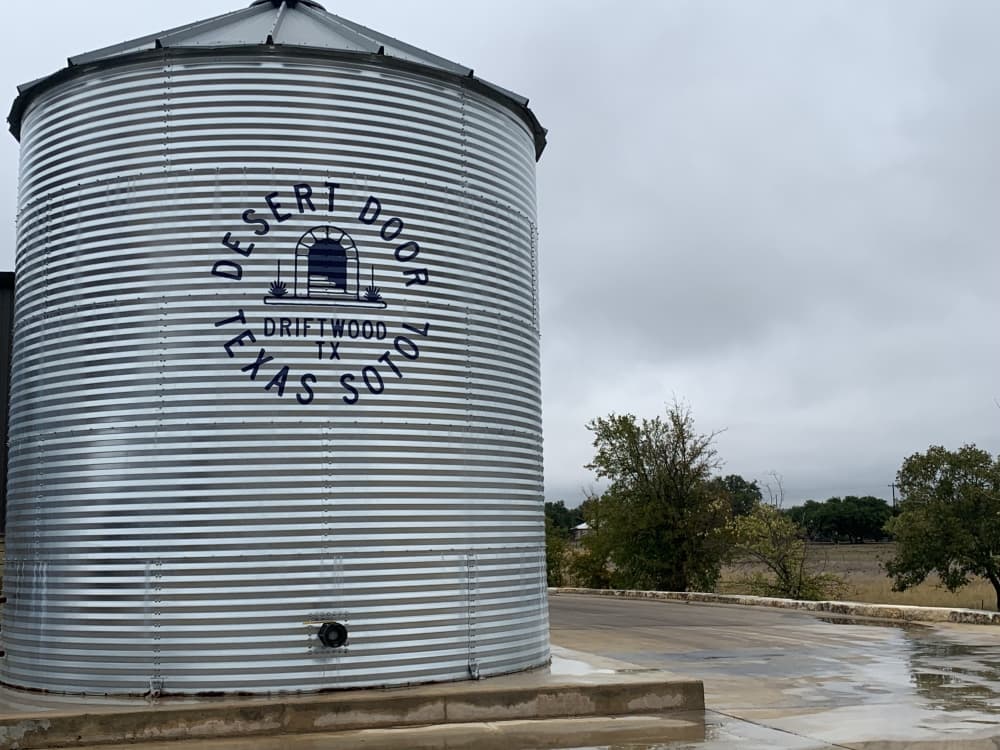 First US sotol distillery born from college class