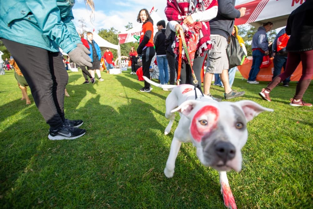 More than 1,000 people attended the Montgomery County Heart Walk on Nov. 12. (Courtesy The American Heart Association)