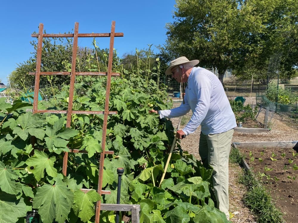 man gardening