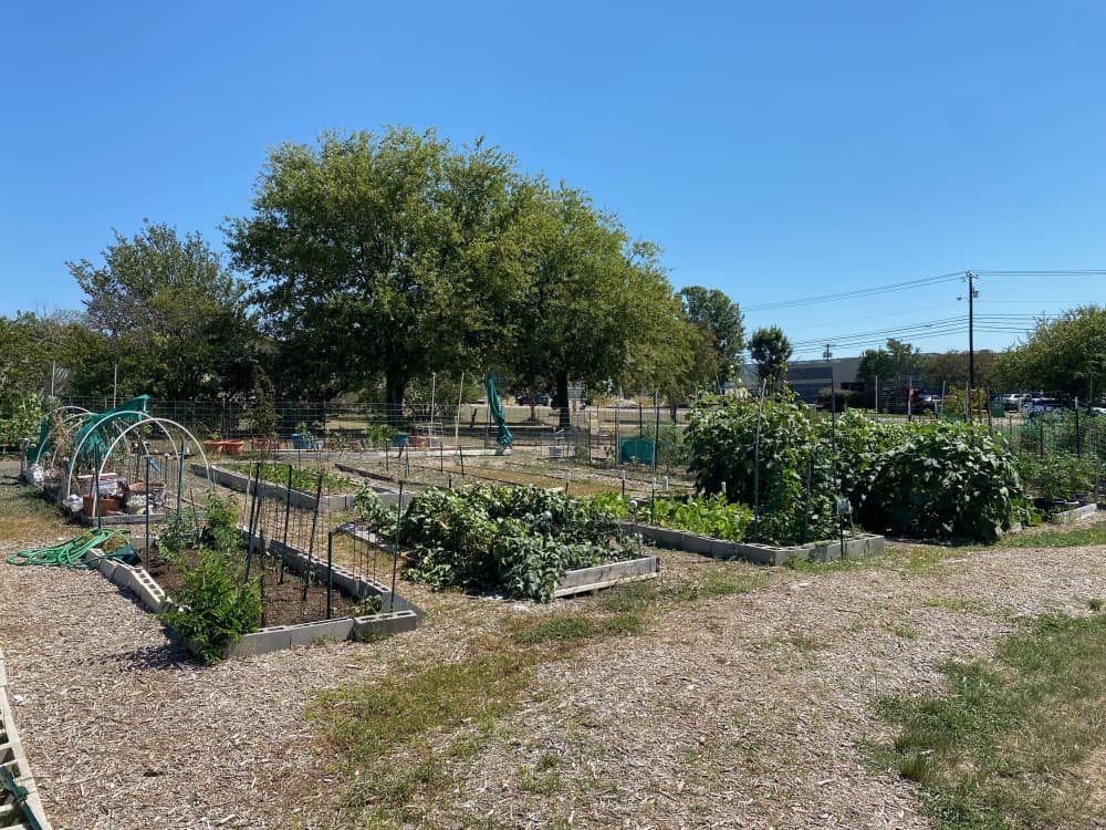 community garden