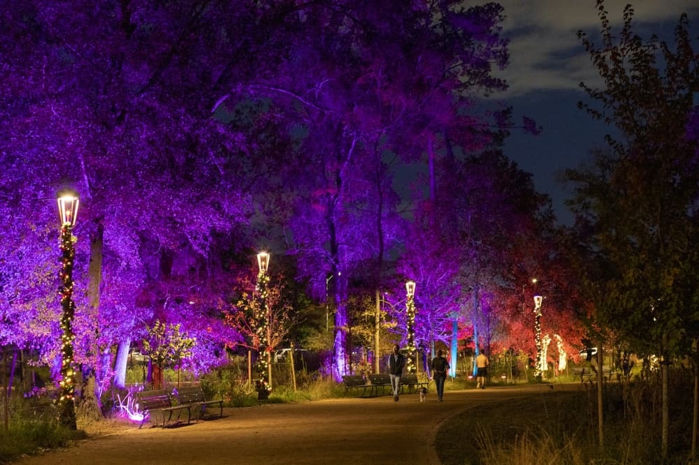 7 events, light shows to check out in Houston this holiday season