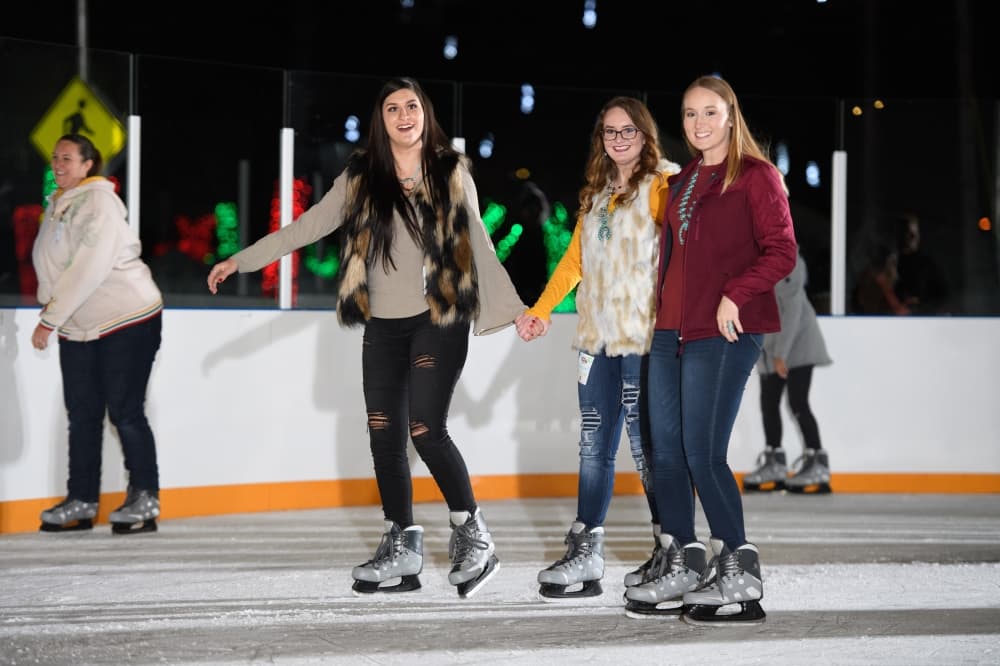 Walk into a real life Christmas card and experience festive sights, pretty lights, and all things nice. (City of Farmers Branch)