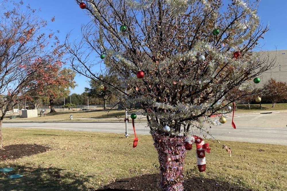 Flower Mound residents can decorate roadside trees during the holidays