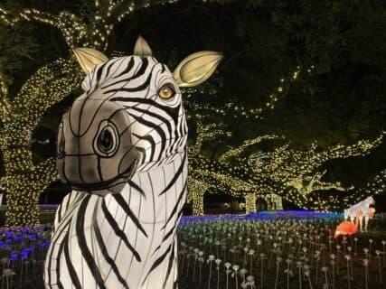 Seven sweet ways to celebrate the holidays in the Bellaire, Meyerland, West University area