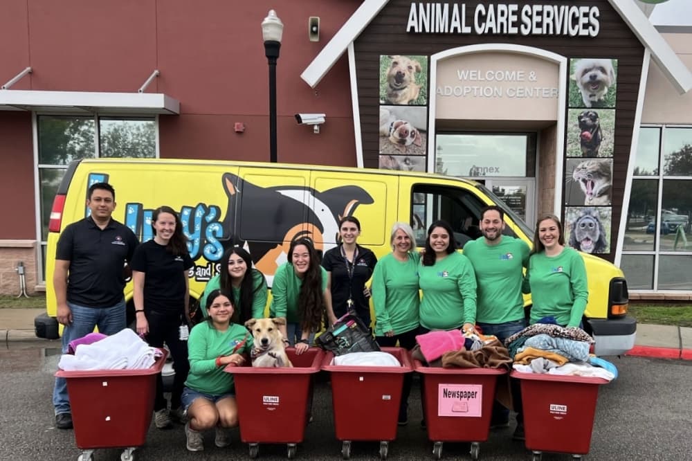 San Antonio dog day care venture aids city’s animal shelter