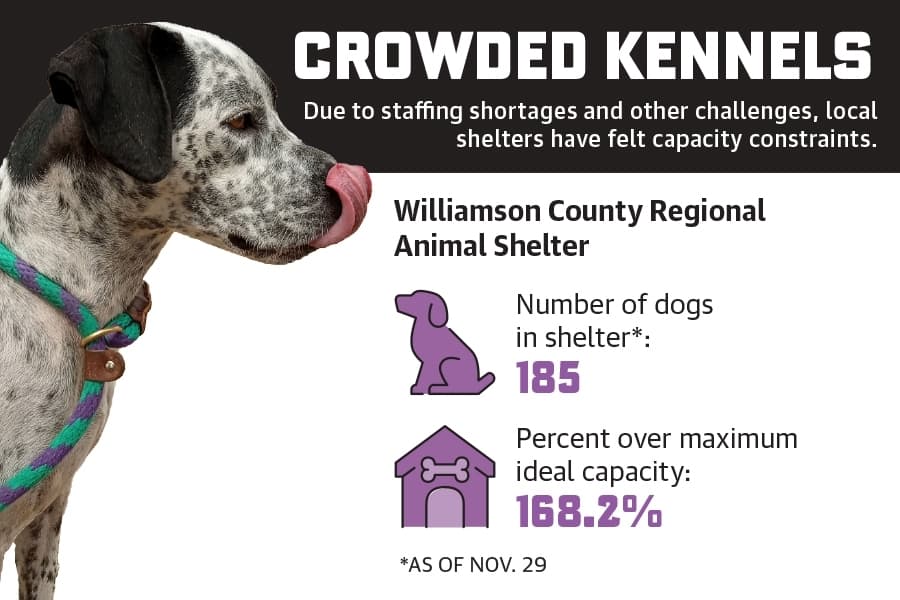 Cedar Park, Leander area animal shelters face overcrowding amid staffing, funding concerns