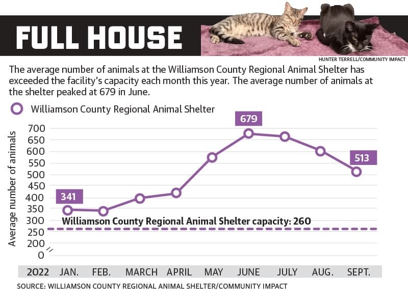 (Graphic by Community Impact staff)