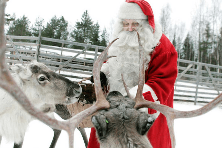 Things to do in Georgetown this December and January: A Christmas festival, 'The Nutcracker' and 7 more events