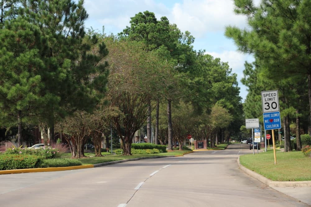 Spring population up by 13% since 2016, census data shows