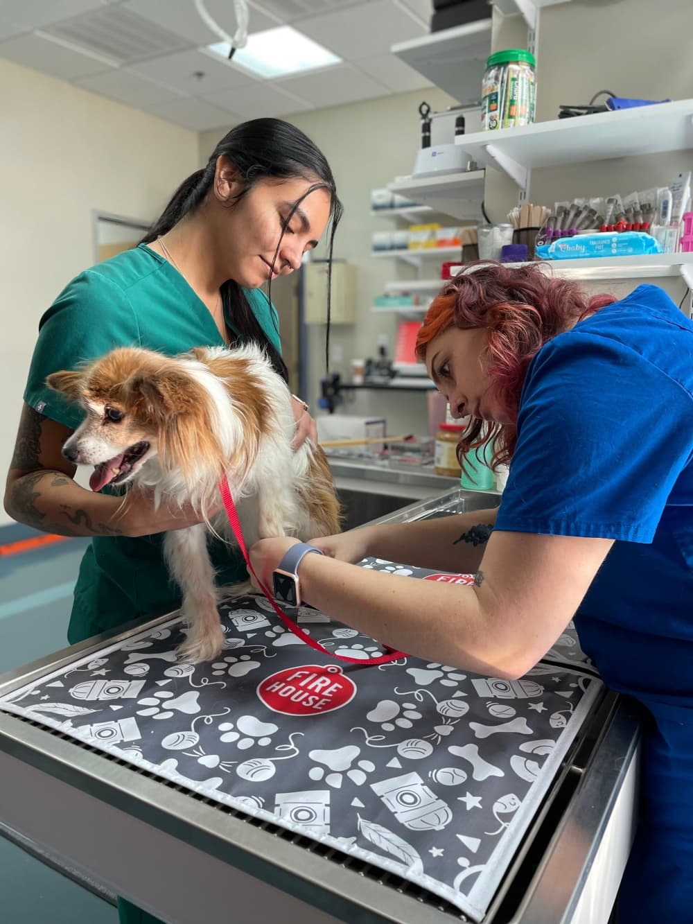 Two women and a dog