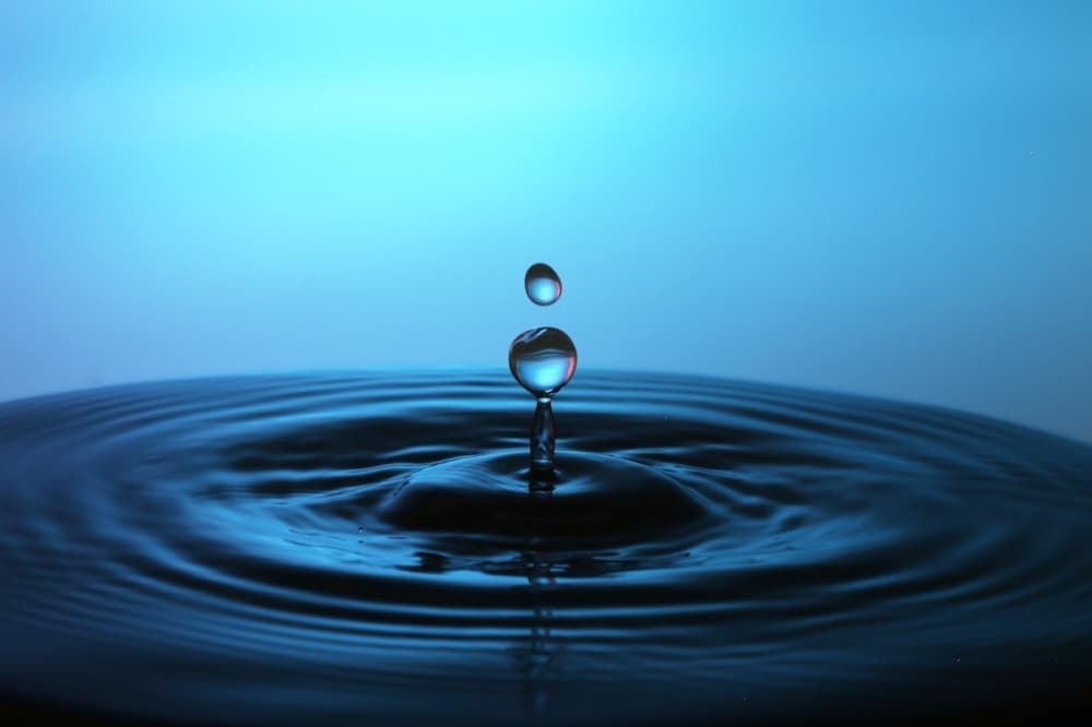 The Woodlands Water Agency announces new general manager in 2023