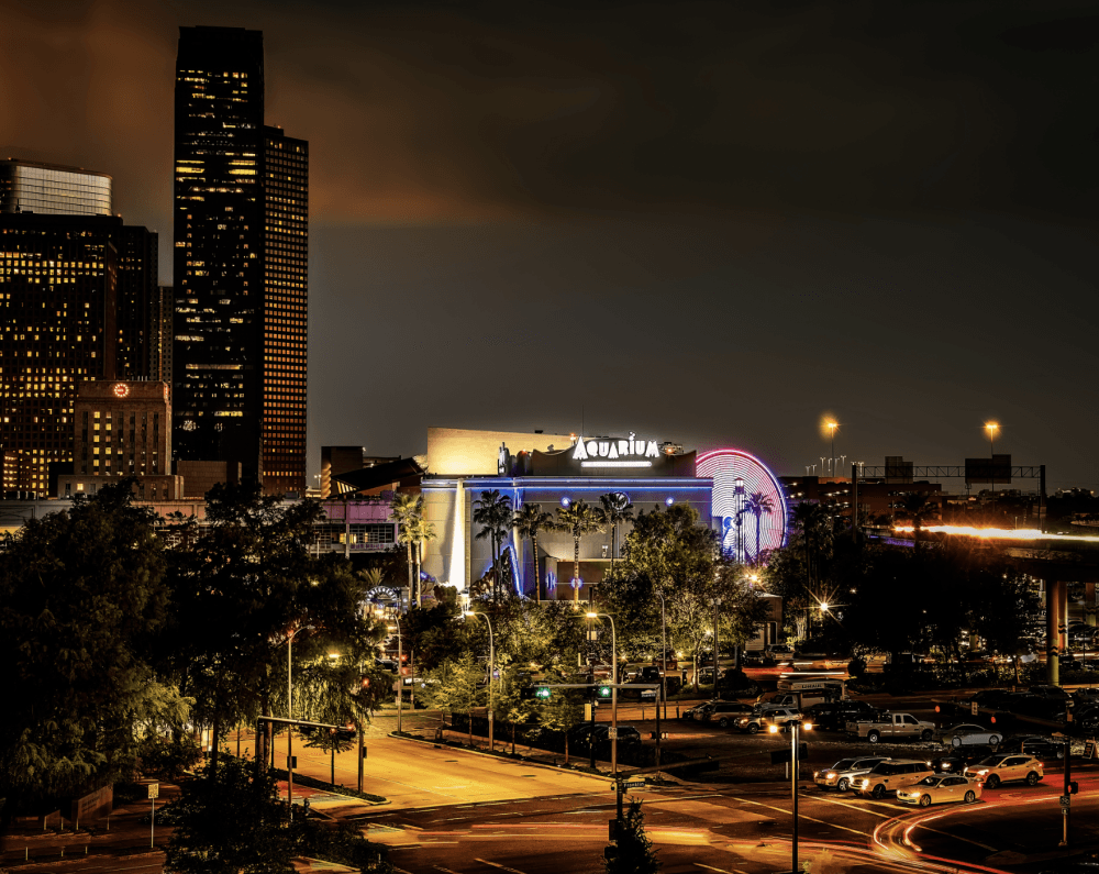 "Night Life" by Richard Yzagguire won first place in the Field Trips category.  (Courtesy The Woodlands Photography Club)