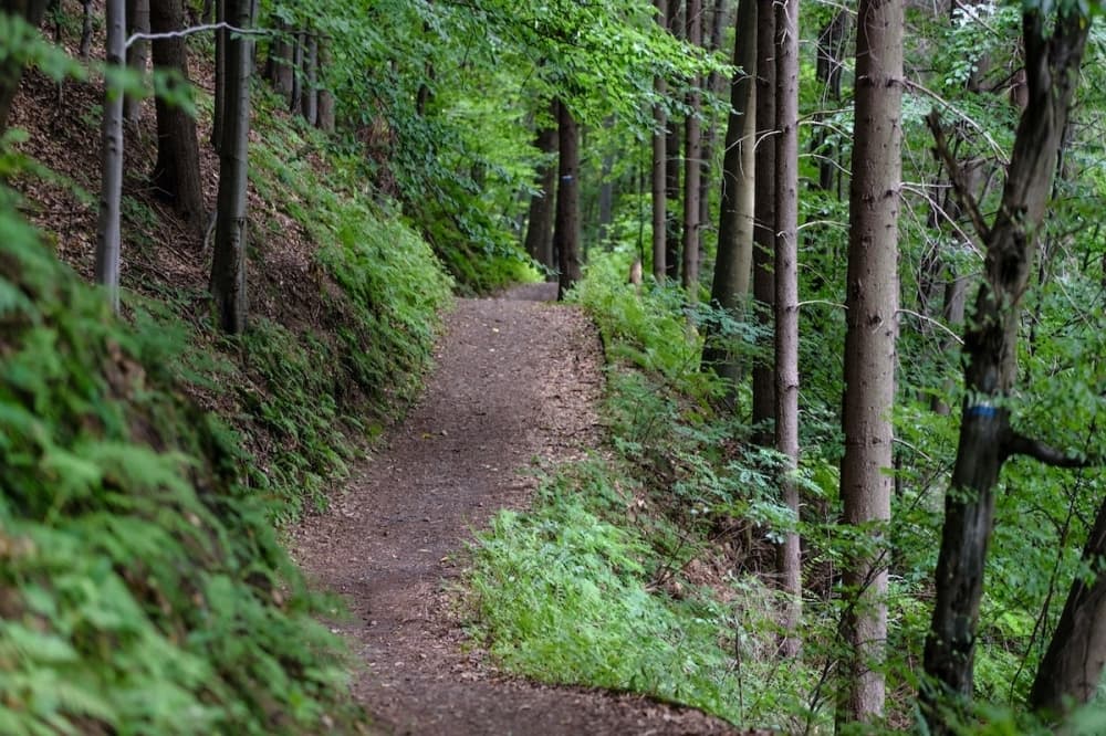 Construction on Cedar Park’s Brushy Creek North Fork Trail project moves forward