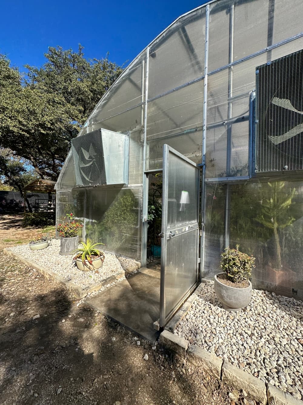 Howell grows potted house plants that can be outside in moderate temperatures. (Sumaiya Malik/Community Impact)