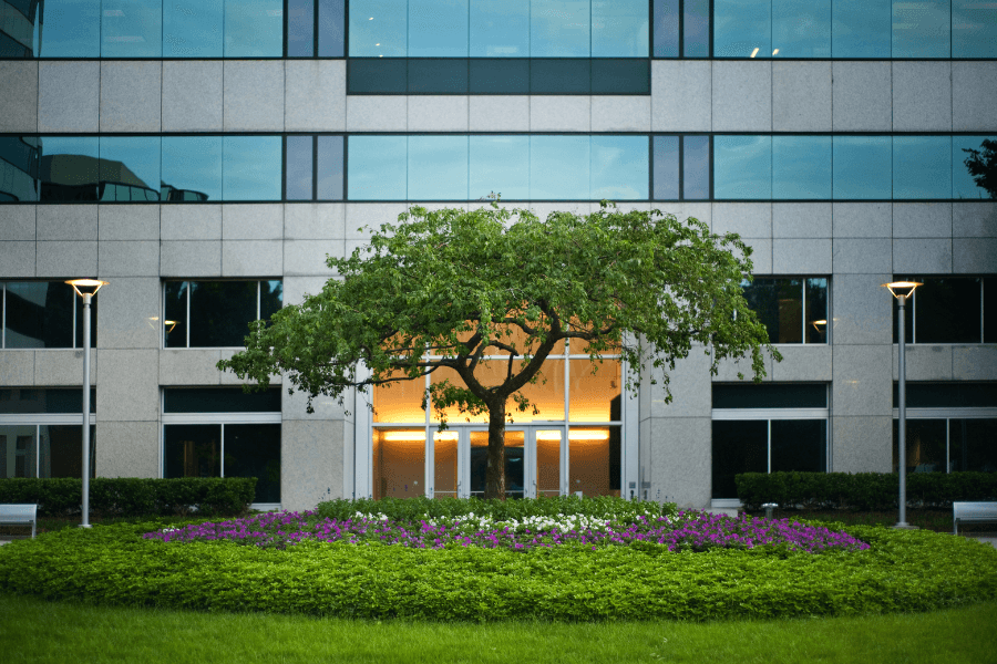 Discover recent trends in commercial real estate in The Woodlands through November 2022