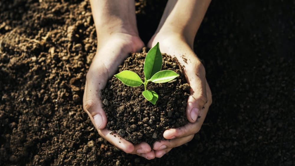 West University Place opens registration for recycling certification course that begins in January