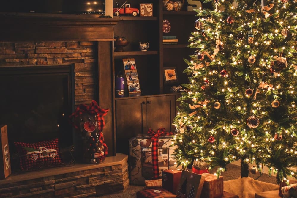 City of Georgetown, Williamson County offers Christmas tree recycling