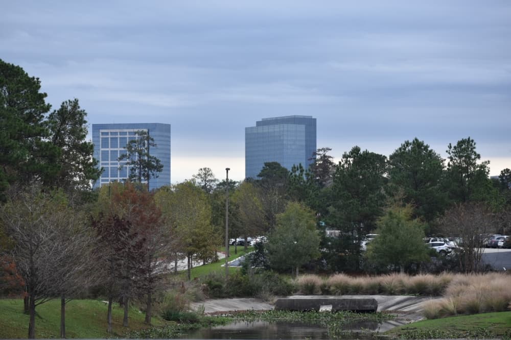 Community snapshot: The Woodlands area's population, demographics and other local data