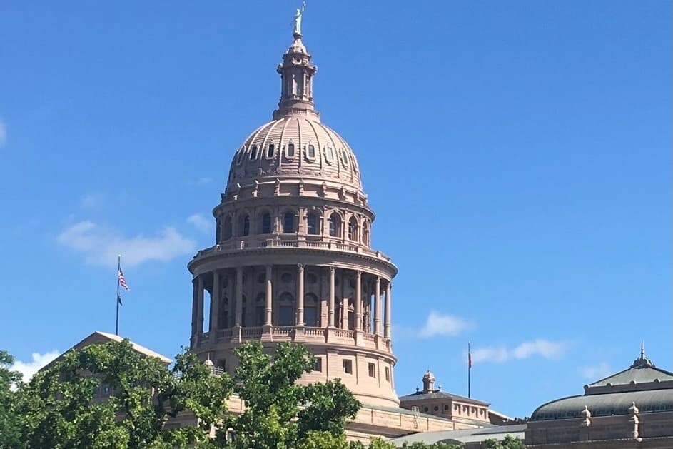Medical assistance for pregnant women, physician-based diversity training, opioid crisis: See bills prefiled by local lawmakers ahead of Texas legislative session