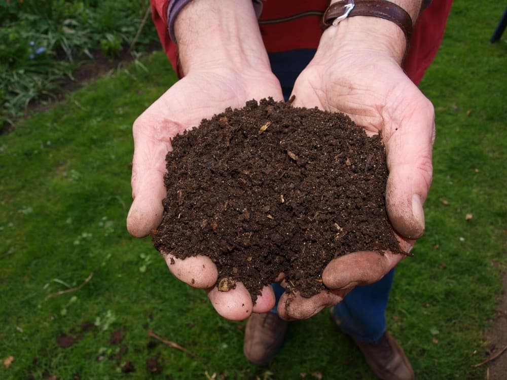 Registration now open for Residential Food Scrap Composting Pilot Program in Plano