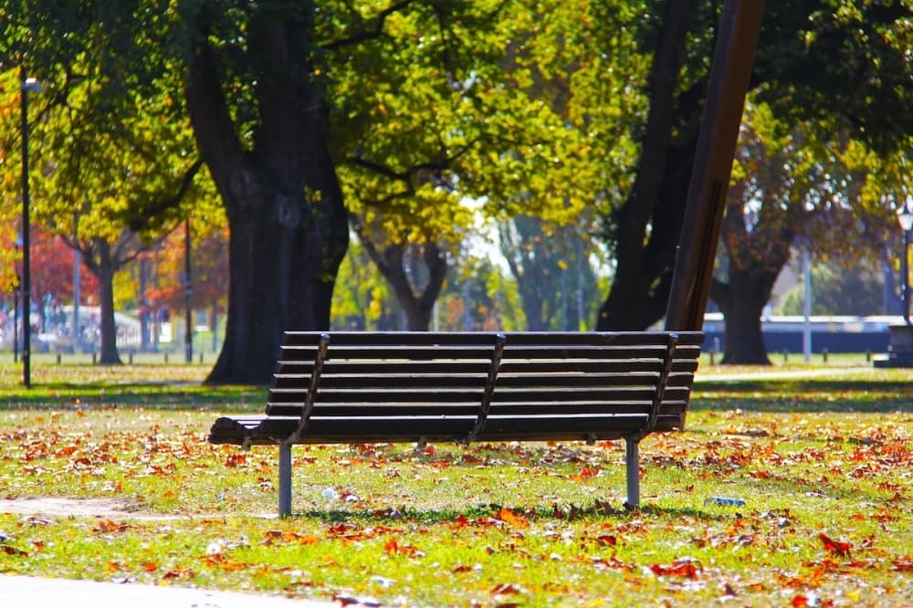 Multiple League City park projects set to finish in late January
