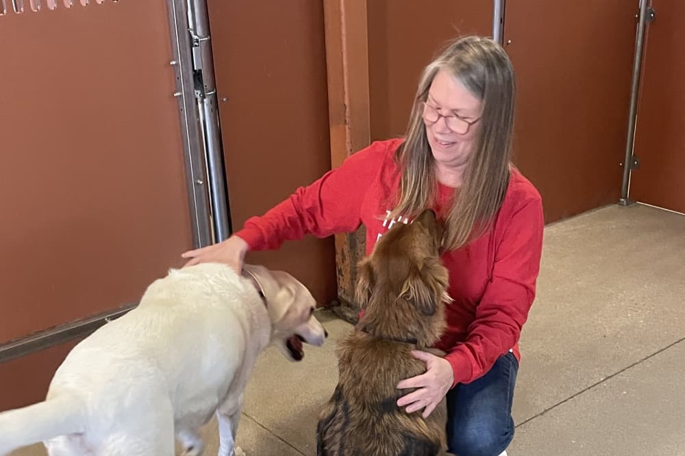 Camp Bow Wow celebrated 5 years of doggy daycare in November