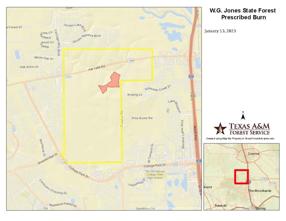 The area in red is where the prescribed burning will take place within the state forest. 