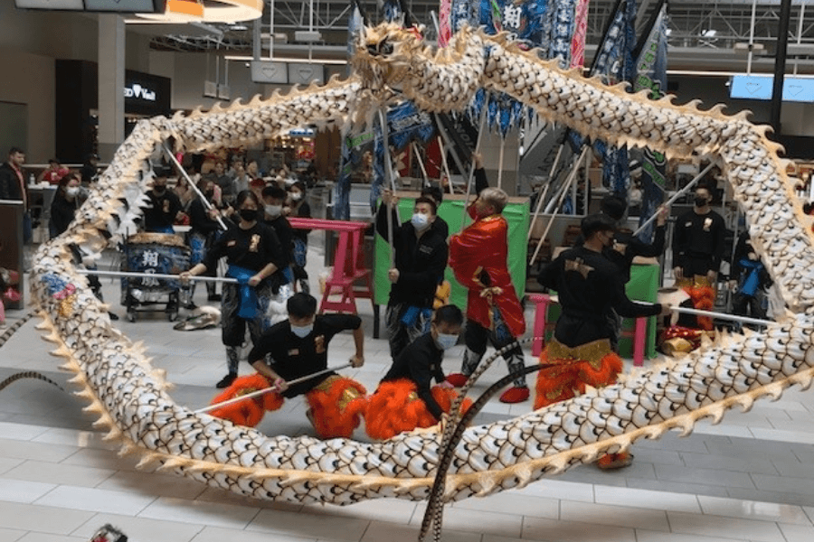 5 things to do in Houston this weekend, Jan. 13-15