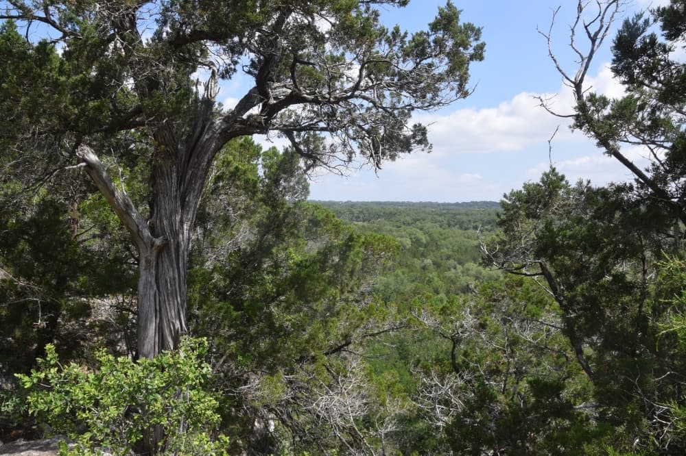 Hays County partners with Hill Country Conservancy, La Cima to preserve land amid growth, development