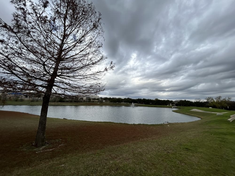 lake in lake forest neighborhood with tree in the front 