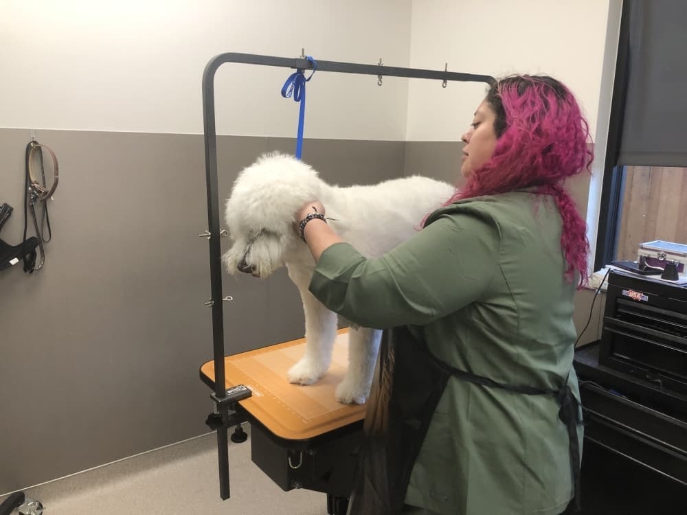 Riverwalk Pet Hospital and Resort offers pet care in Grapevine