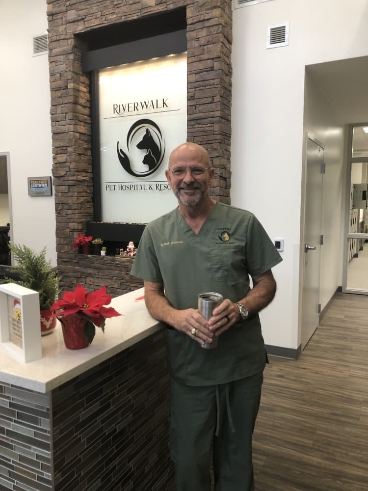 A vet standing at a desk