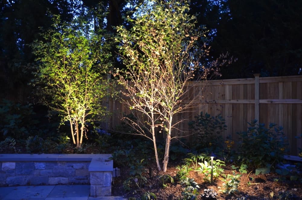 Live Oak Lighting is based in New Braunfels but provides its services to the Austin and San Antonio area. (Courtesy Live Oak Lighting)