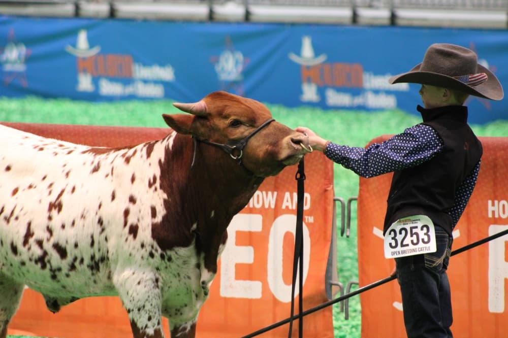 Since 1932, the Houston Livestock Show and Rodeo has served as a venue for promoting agriculture and showcasing western heritage, while also educating the public and supporting Texas youth through scholarships and grants. (Courtesy Houston Livestock Show and Rodeo)