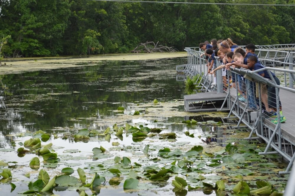 8 things to do in San Marcos, Buda, Kyle this January and February