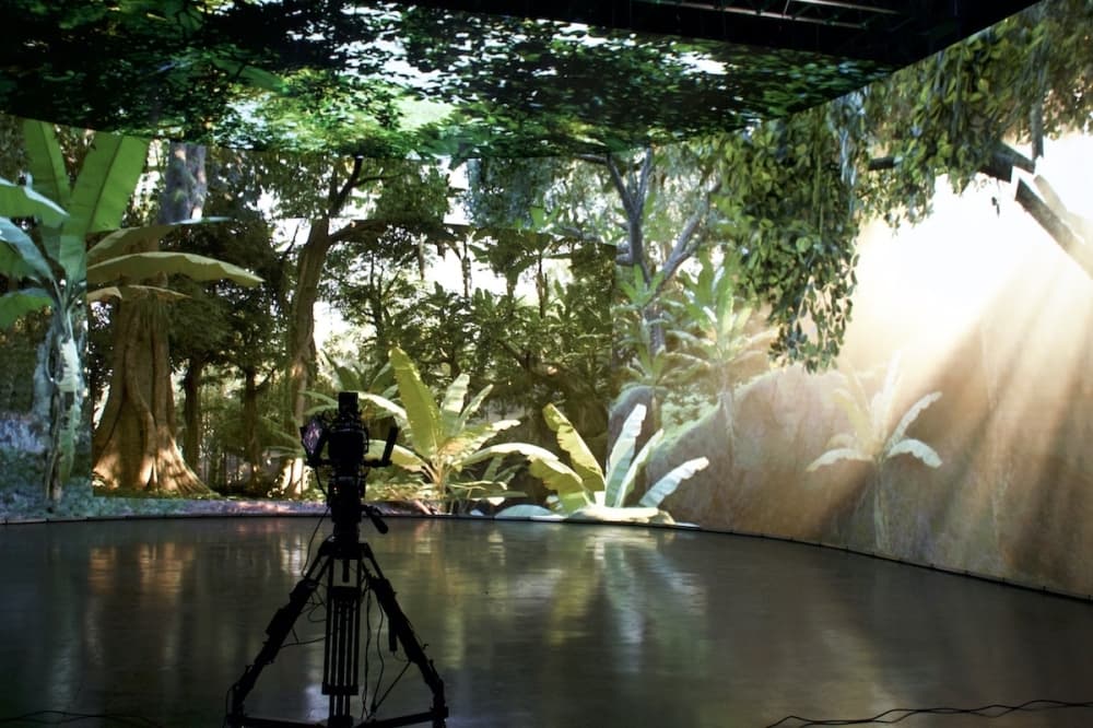 An artist can render virtual backgrounds, and with camera movement, perspective can change. (Elle Bent/Community Impact)