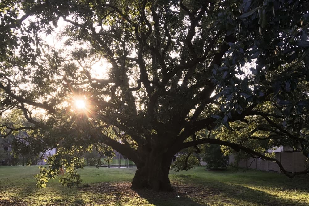 Texas Parks & Wildlife awards over $9.8 million to enhance local parks