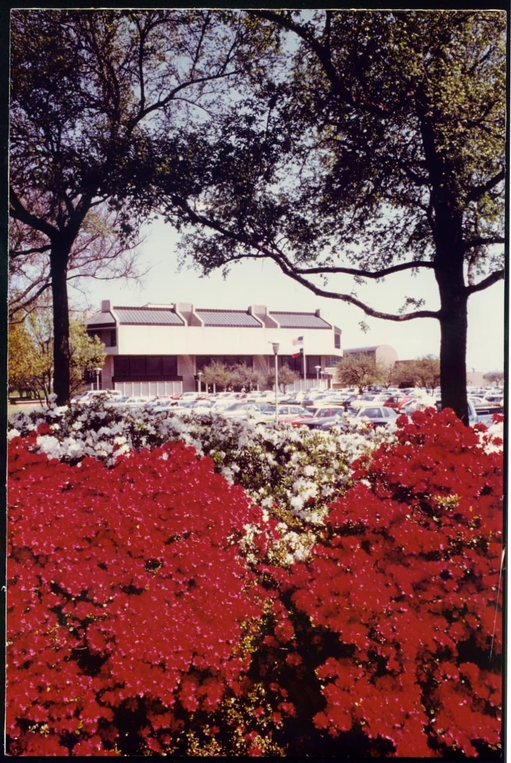 The Richardson Public Library is shown in this historic photo from 1980. (Courtesy city of Richardson)
