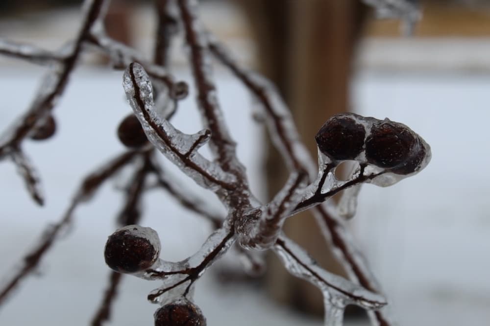 Winter storms, icy roads expected in Dallas-Fort Worth metroplex through Feb. 1