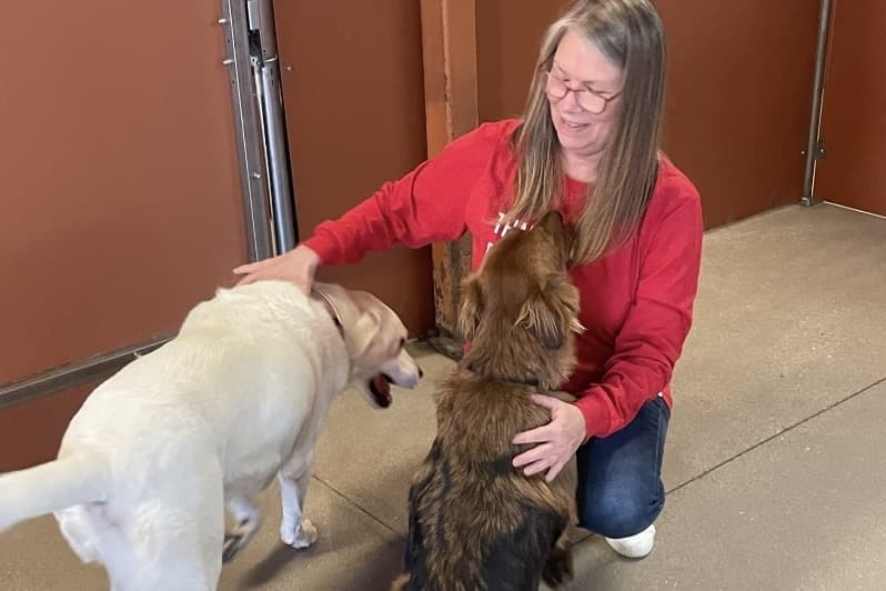 Camp Bow Wow in Spicewood providing enrichment, care for dogs