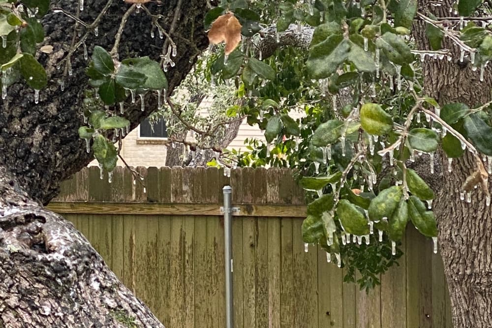 Austin Transportation Department cautions drivers of icy roads; Austin Public Health opens shelters