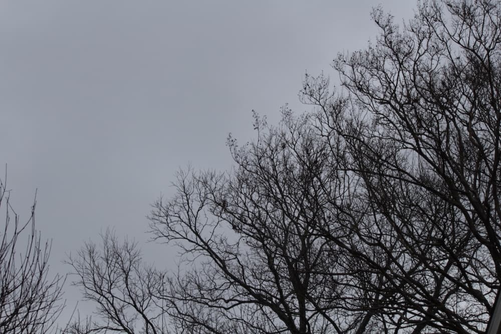 Several Plano services closed due to winter weather