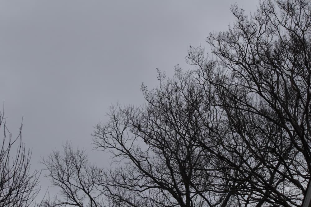 Highland Village officials: Sand crews working Jan. 31 to alleviate icy conditions