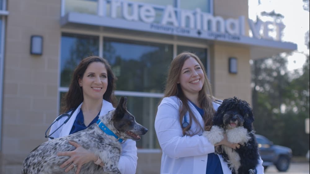 True Animal Vet opening women-owned practice in The Woodlands